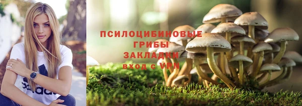 мяу мяу мука Вяземский