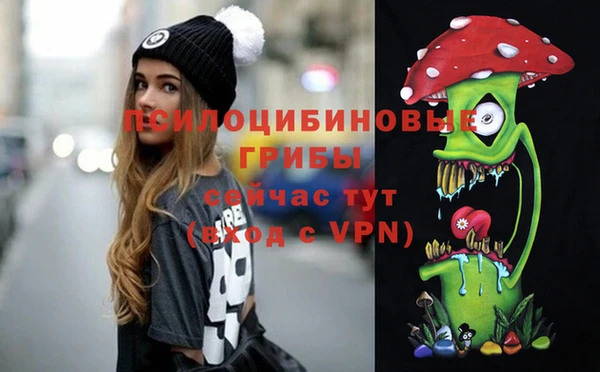 спиды Вязьма
